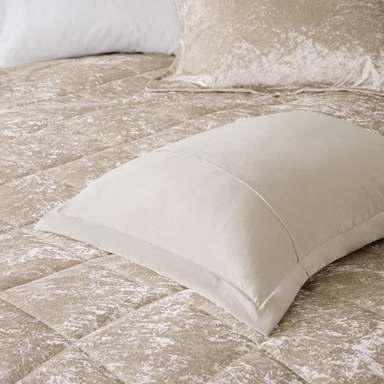 Twin/Twin XL Velvet Comforter Set with Throw Pillow Media 12