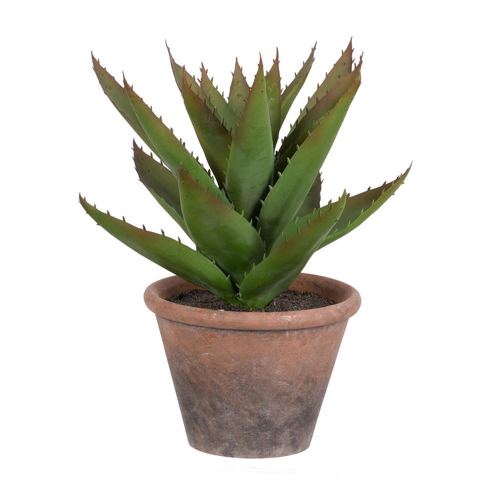9x9.5x13' Potted Faux 'Black Prince' Succulent Media 1