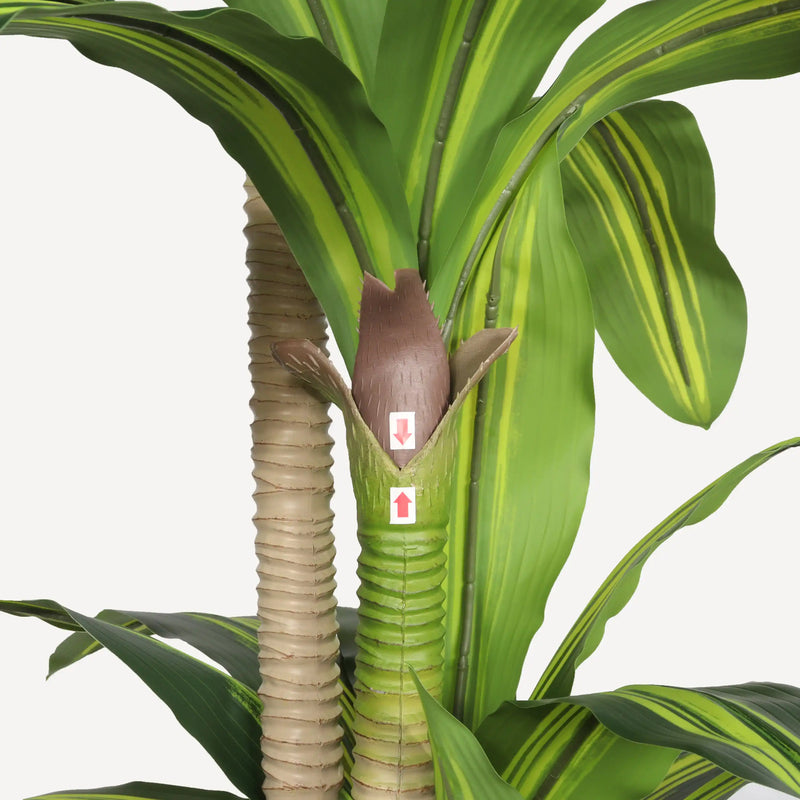 6' Artificial Dracaena Tree with Black Plastic Pot