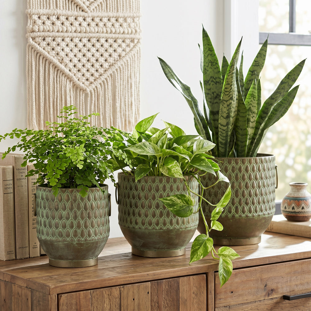 S/3 Textured Green Iron Planters with Tapered Bases Media 7