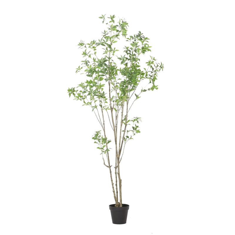 240CMARTIFICIAL PIERIS TREE