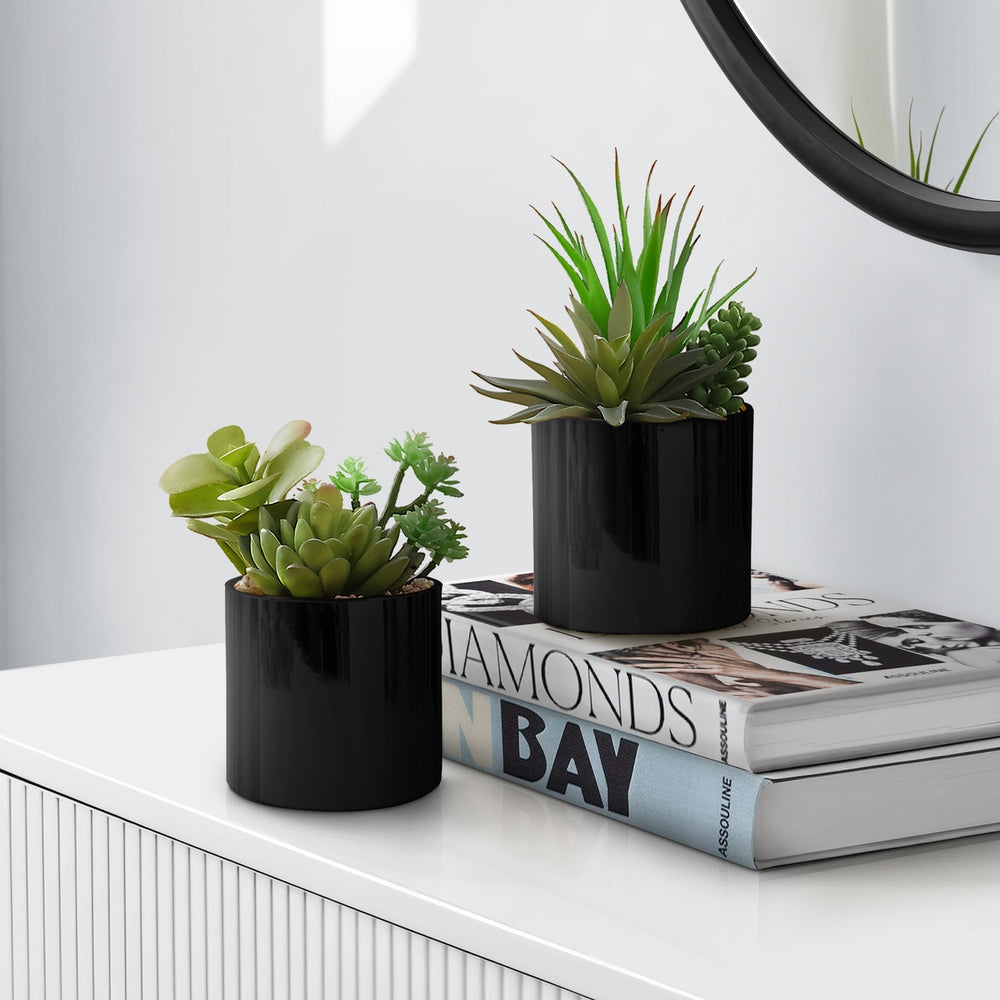 Artificial Succulent Plants Set of 2, Green Faux Indoor Potted Decor in Glossy Black Pots, Realistic Greenery for Table or Shelf Media 2
