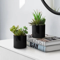 Artificial Succulent Plants Set of 2, Green Faux Indoor Potted Decor in Glossy Black Pots, Realistic Greenery for Table or Shelf perspective