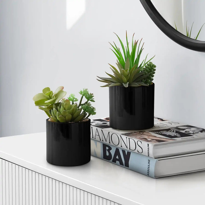Artificial Succulent Plants Set of 2, Green Faux Indoor Potted Decor in Glossy Black Pots, Realistic Greenery for Table or Shelf
