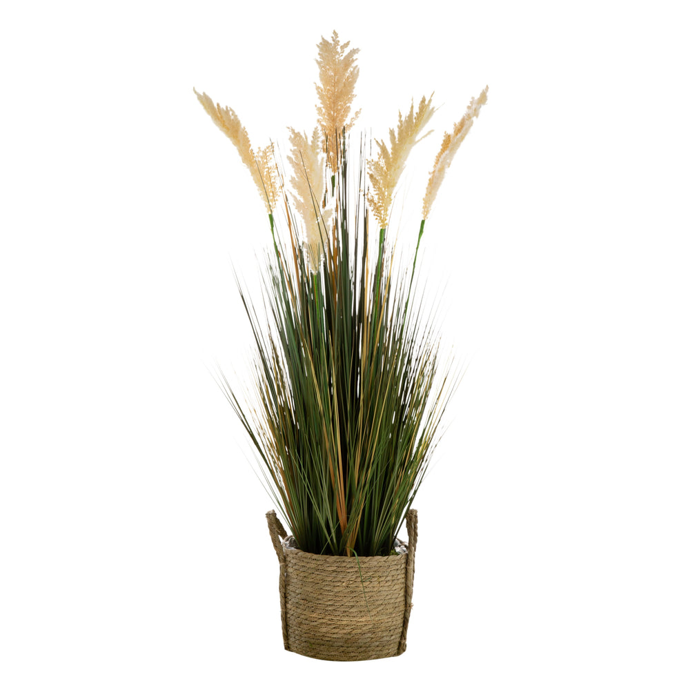 D14x45'H Potted Pampas Grass Plant Media 9