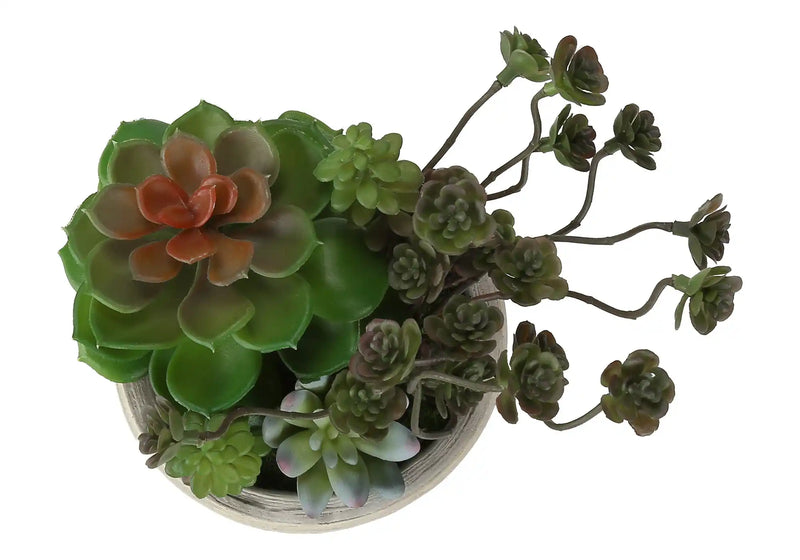 Artificial Plant, Set Of 2, 9' Tall, Succulent, Table, Beige Cement Pots, Contemporary, Modern
