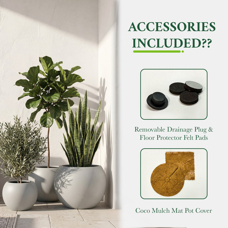 DTY Fiberstone Globe Planter Indoor Outdoor — Lightweight Sphere Ball Pot for Olive Tree, Monstera & Palm | Fiberglass Stone | UV Resistant, Drainage Hole | 2 Coco Mats | Black | 12.6" D × 10" H