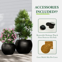 DTY Fiberstone Globe Planter Indoor Outdoor — Lightweight Sphere Ball Pot for Olive Tree, Monstera & Palm | Fiberglass Stone | UV Resistant, Drainage Hole | 2 Coco Mats | Black | 12.6" D × 10" H perspective