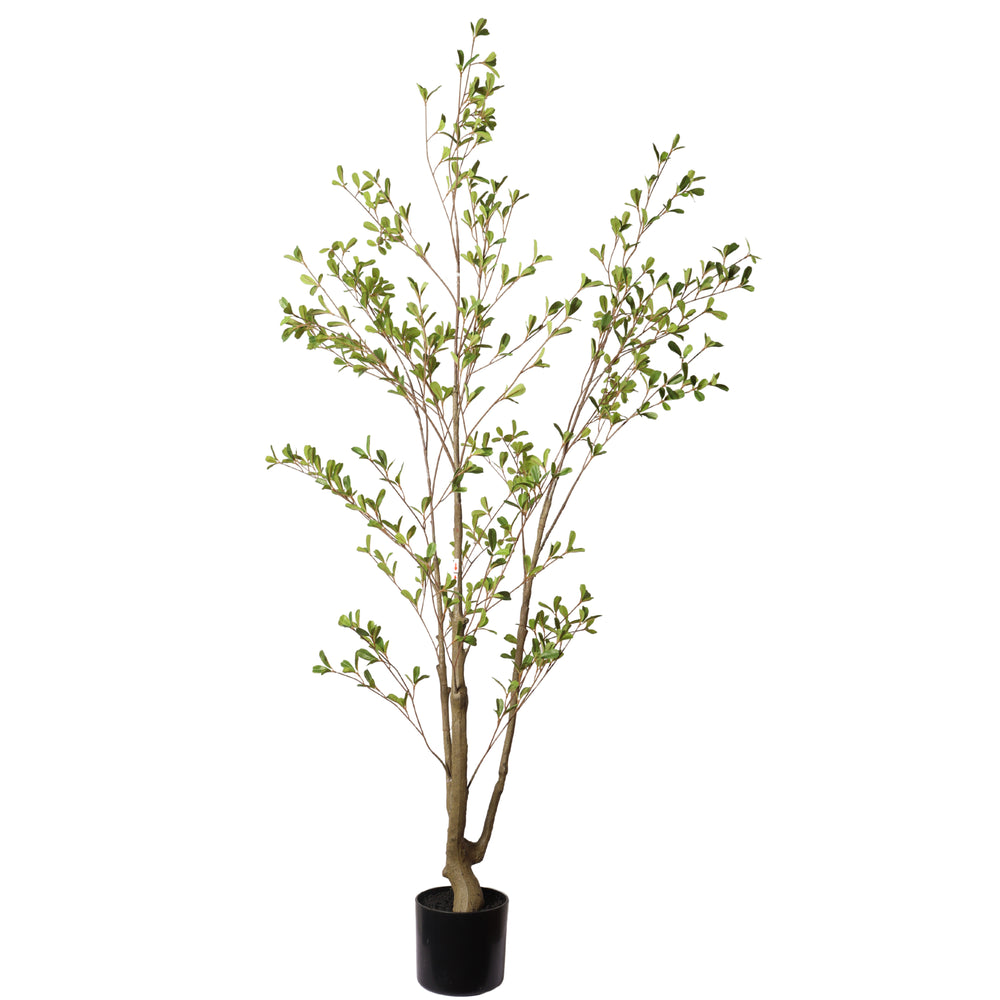 Lifelike Artificial Olive Tree with Black Plastic Pot, Faux Indoor Plant in Green Fabric Leaves, 60-Inch Tall for Home Living Room Decor Media 1