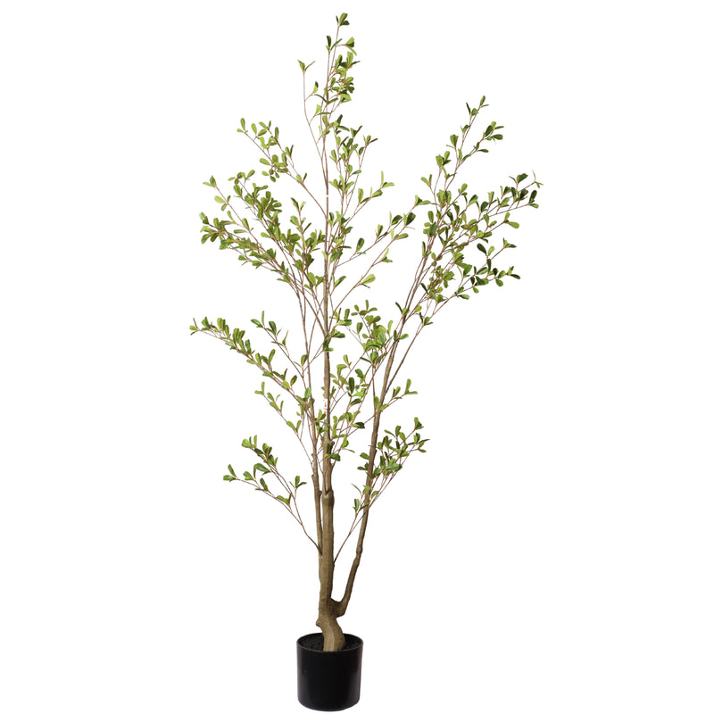 Lifelike Artificial Olive Tree with Black Plastic Pot, Faux Indoor Plant in Green Fabric Leaves, 60-Inch Tall for Home Living Room Decor