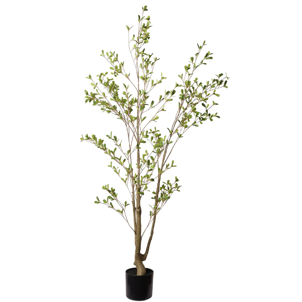 Lifelike Artificial Olive Tree with Black Plastic Pot, Faux Indoor Plant in Green Fabric Leaves, 60-Inch Tall for Home Living Room Decor