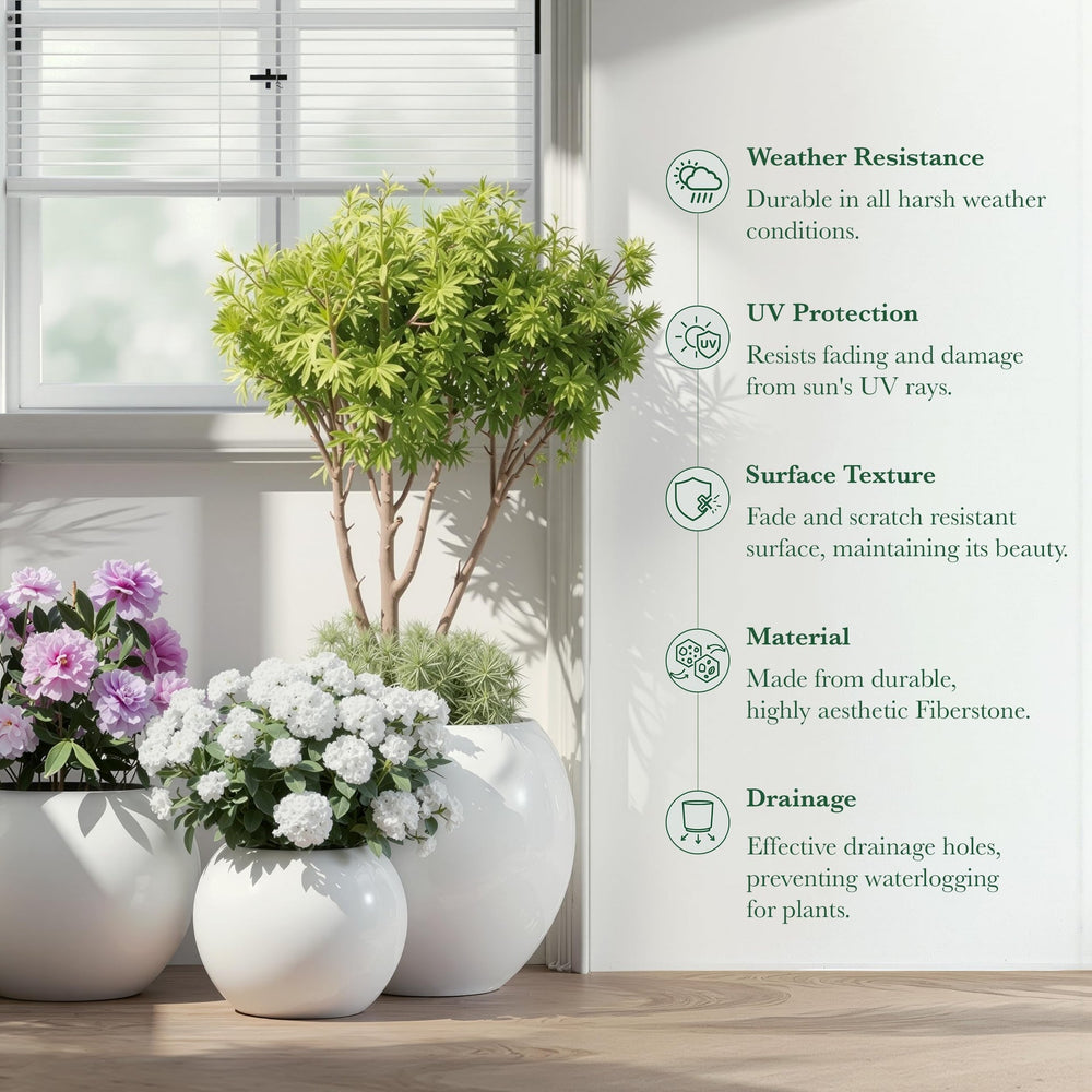 DTY Fiberstone Globe Planter Indoor Outdoor — Lightweight Sphere Ball Pot for Olive Tree, Monstera & Palm | Fiberglass Stone | UV Resistant, Drainage Hole | 2 Coco Mats | Black | 12.6