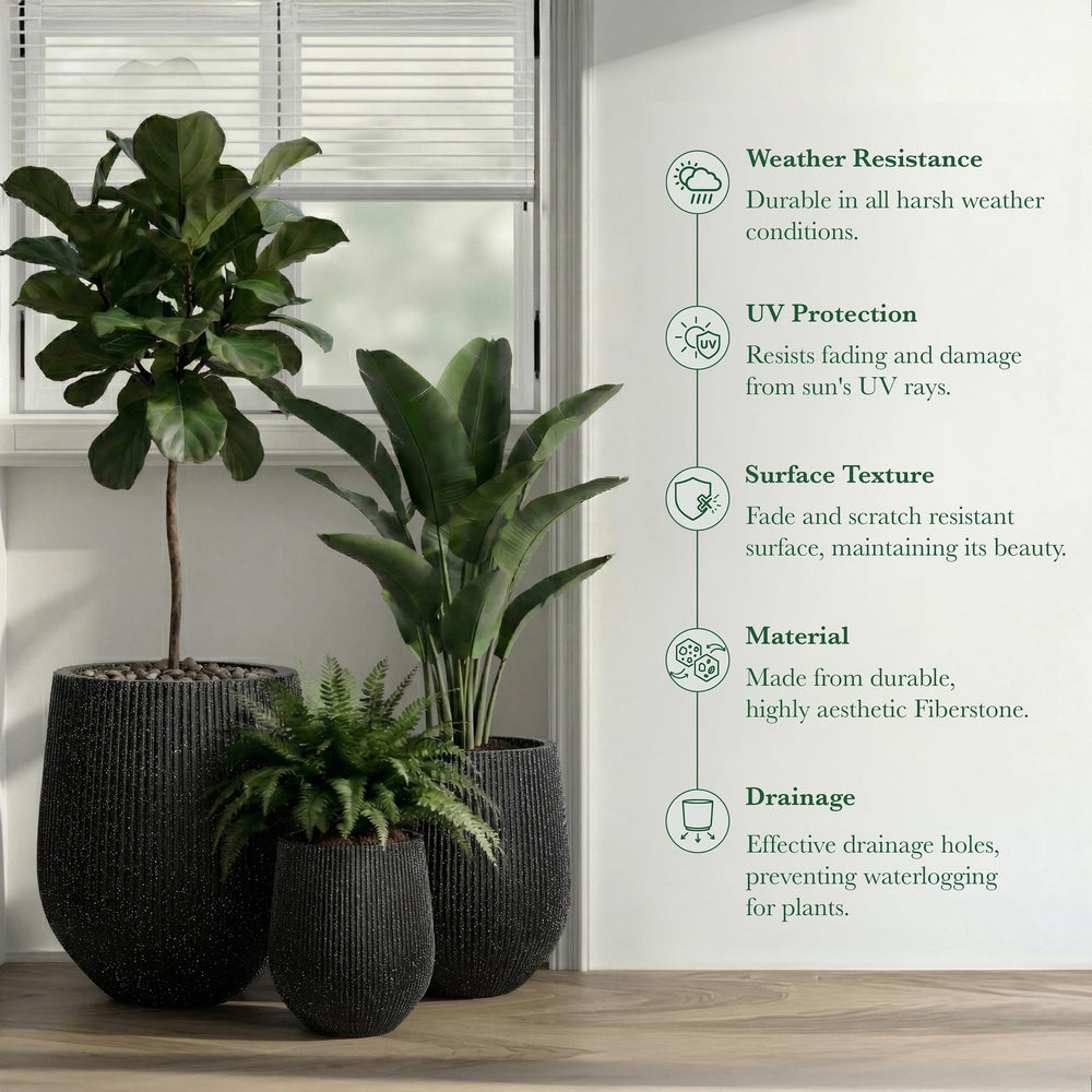 DTY Signature Mount Wilson Modern Indoor Outdoor Fiberstone Tapered Planter, Lightweight, Weather Resistant Garden Pot with Drainage Hole & Rubber Plug (Black, 11'' D x 12'' H) Media 50
