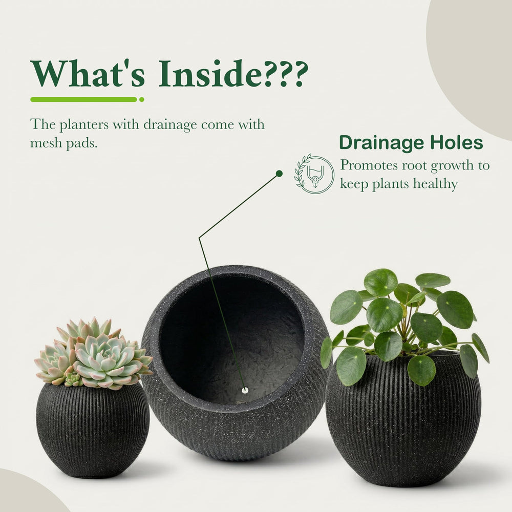 DTY Fiberstone Globe Planter Indoor Outdoor — Lightweight Sphere Ball Pot for Olive Tree, Monstera & Palm | Fiberglass Stone | UV Resistant, Drainage Hole | 2 Coco Mats | Black | 12.6