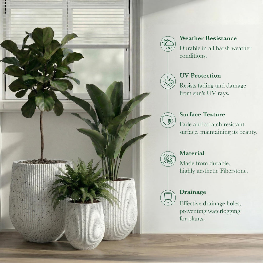 DTY Signature Mount Wilson Modern Indoor Outdoor Fiberstone Tapered Planter, Lightweight, Weather Resistant Garden Pot with Drainage Hole & Rubber Plug (Black, 11'' D x 12'' H) Media 95