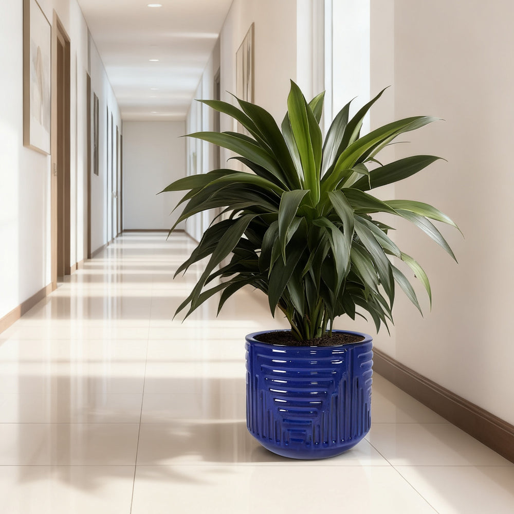 16' Dia Round Planters for Indoor Plants, Large Outdoor Planters with Drainage Holes, Ceramic Plant Pots Indoor & Outdoor for Home Garden Patio - Dark Blue Media 4