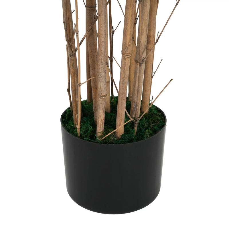 70' Artificial Bamboo with Black Plastic Pot