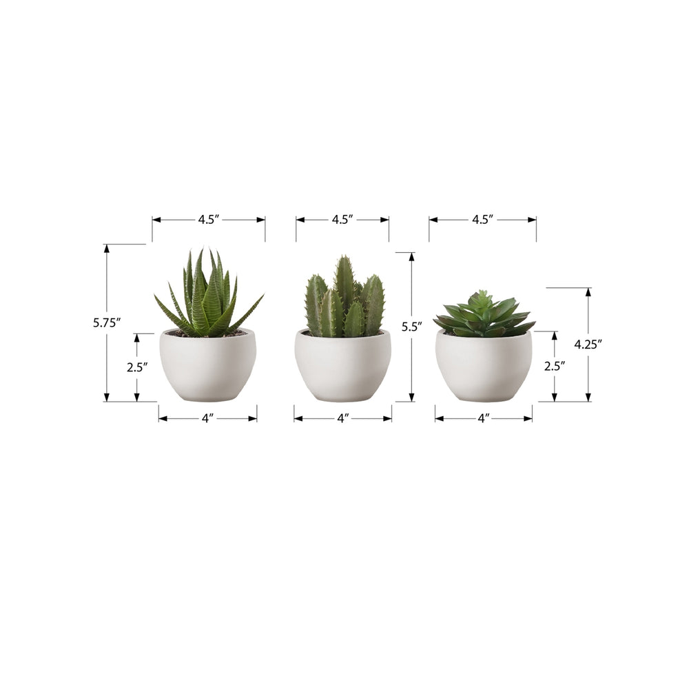 Artificial Succulent Plants Set of 3, 6' Tall, Green Faux Indoor Decor in White Pots, Plastic, Tabletop Greenery Media 3