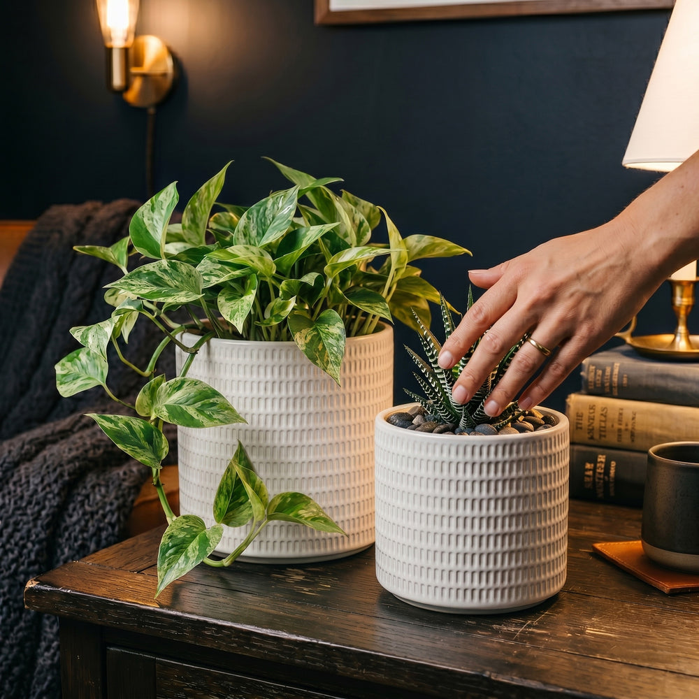 S/2 Textured White Ceramic Planters Media 6