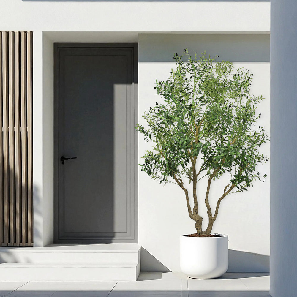 8FT Tall Artificial Olive Tree - Large Faux Potted Tree with Natural Trunk and Lifelike Olive Leaves and Fruit, Elegant Indoor/Outdoor Decorative Plant for Living Room, Office or Entryway, 1 pc/set Media 12