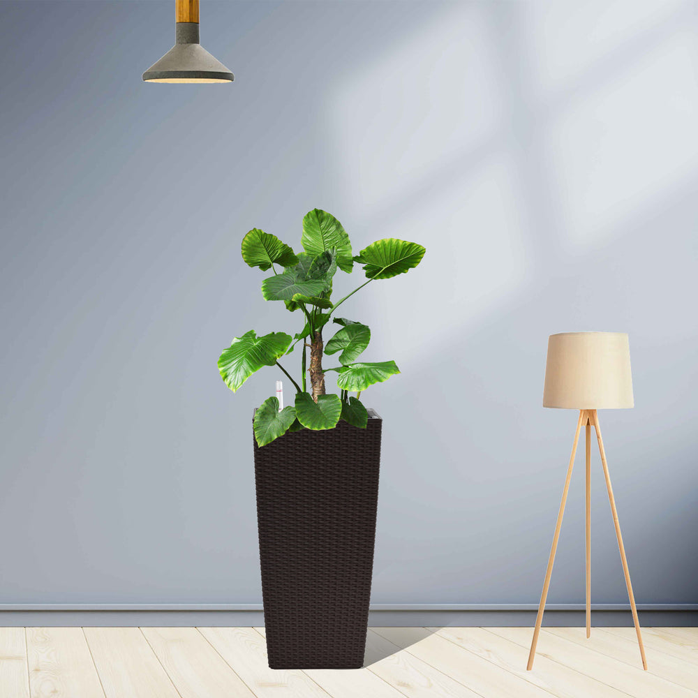 Brown Faux Rattan Indoor Outdoor Planter with Automatic Watering System, 22-Inch High, Pack of 2, Made from Polypropylene Media 8