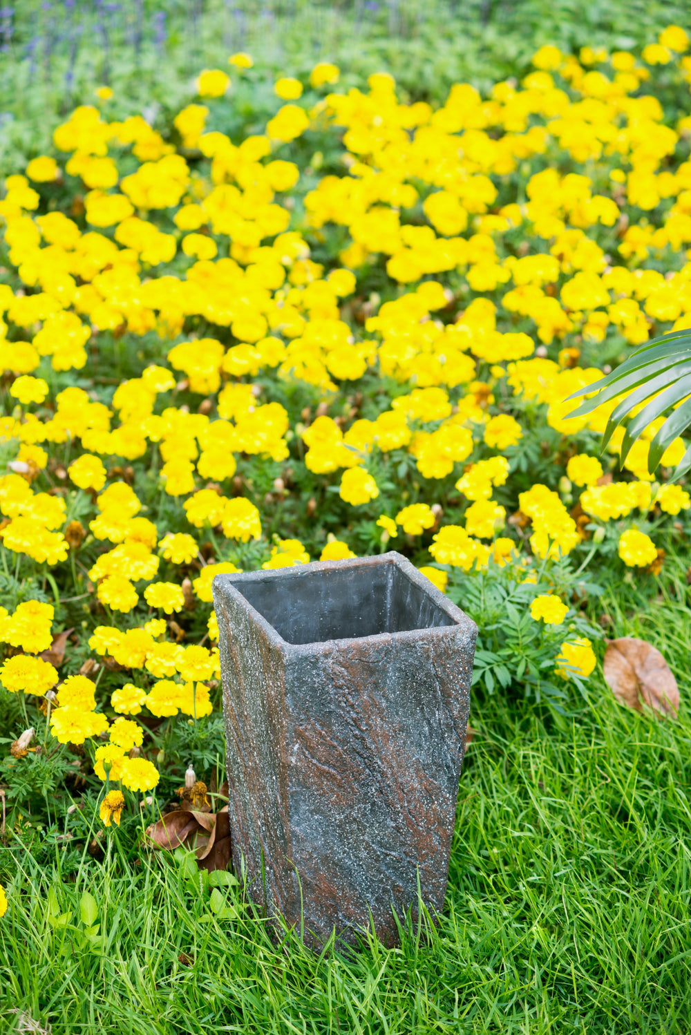 9.5x9.5x18' Planter Media 4