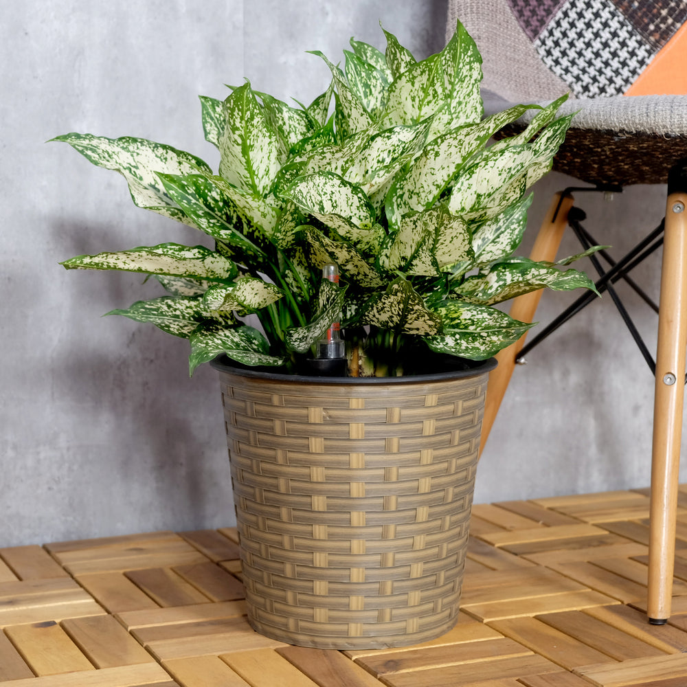 13.4' Self-watering Wicker Decor Planter for Indoor and Outdoor - Round - Natural Media 2
