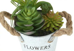 Artificial Plant, Set Of 2, 7' Tall, Succulent, Table, White Metal Pots, Contemporary, Modern perspective