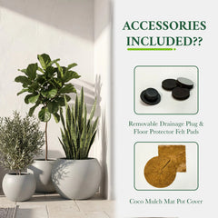 DTY Fiberstone Globe Planter Indoor Outdoor — Lightweight Sphere Ball Pot for Olive Tree, Monstera & Palm | Fiberglass Stone | UV Resistant, Drainage Hole | 2 Coco Mats | Black | 12.6" D × 10" H perspective