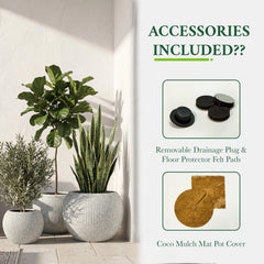 DTY Fiberstone Globe Planter Indoor Outdoor — Lightweight Sphere Ball Pot for Olive Tree, Monstera & Palm | Fiberglass Stone | UV Resistant, Drainage Hole | 2 Coco Mats | Black | 12.6" D × 10" H perspective