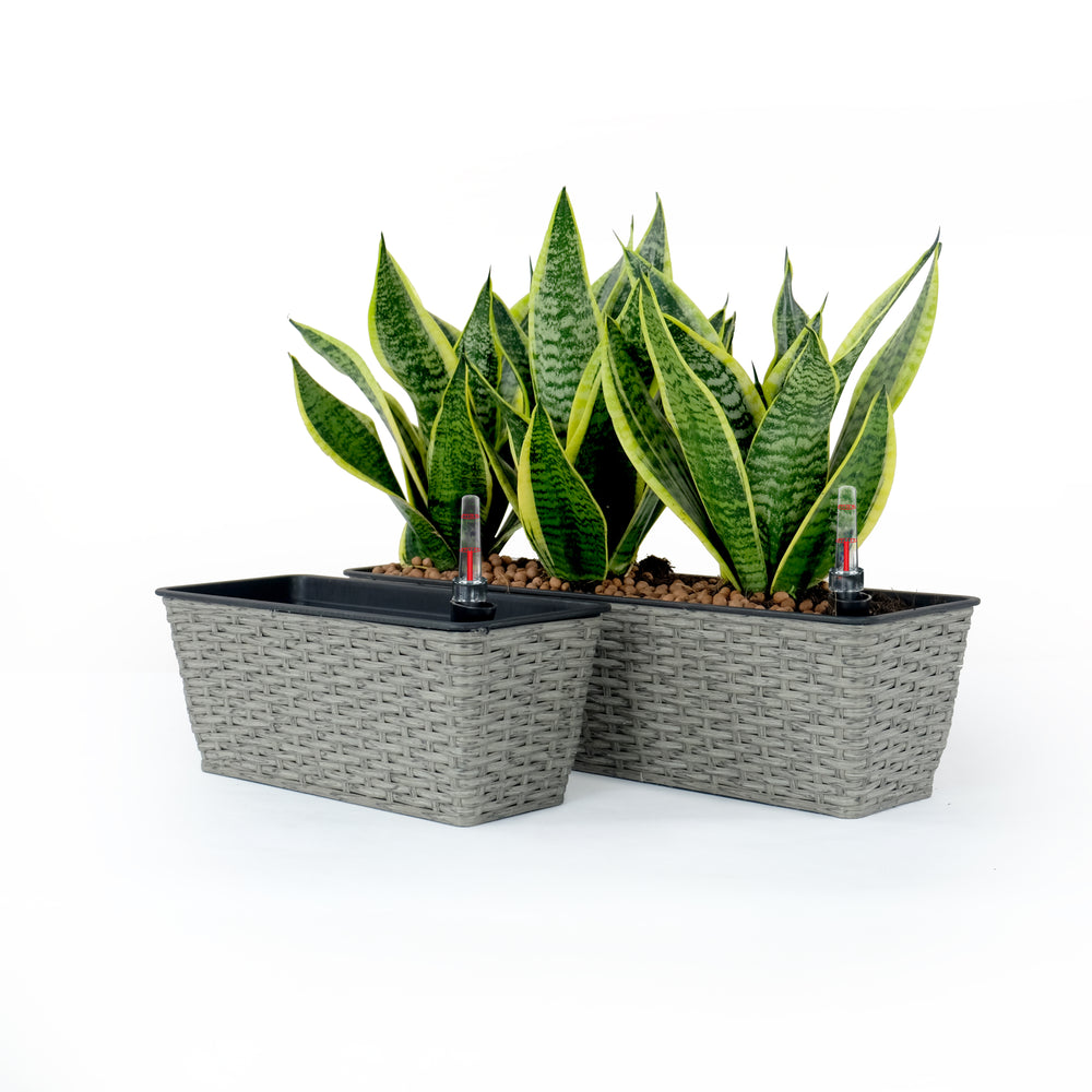 2-Pack Smart Self-watering Rectangle Planter for Indoor and Outdoor - Hand Woven Wicker - Gray Media 1