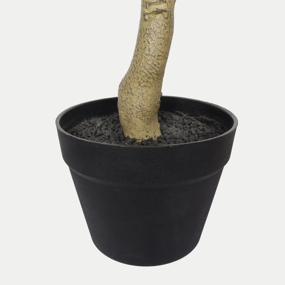 7FT Artificial Black Olive Tree with Black Plastic Pot, Realistic Tall Fake Plant for Indoor Home Living Room Corner Decoration, 1pc/set Media 9