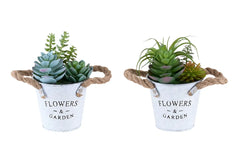 Artificial Plant, Set Of 2, 7' Tall, Succulent, Table, White Metal Pots, Contemporary, Modern perspective