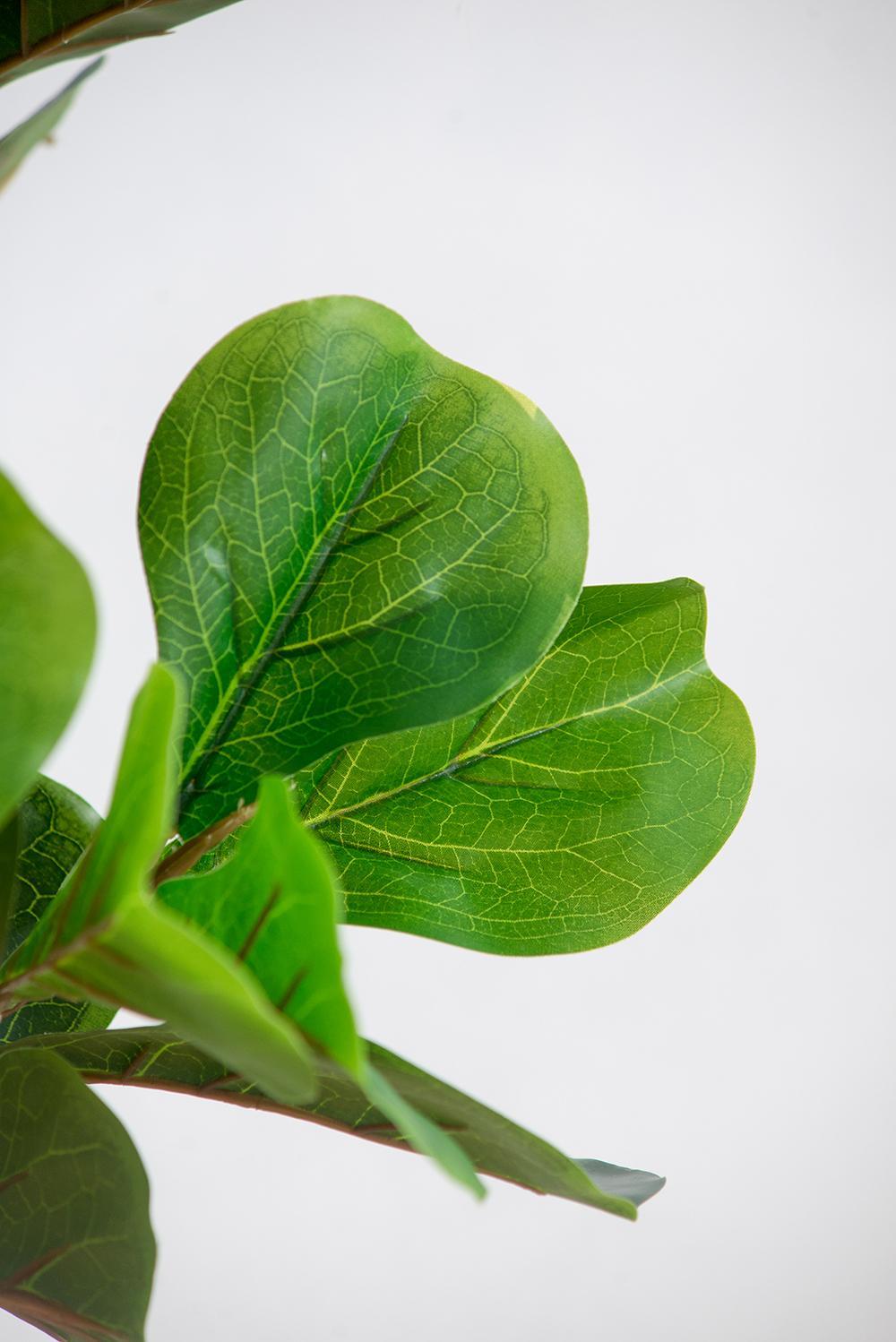 16.5x21x41.5'H Fiddle Fig Leaf Tree, 80 Leaves Media 2