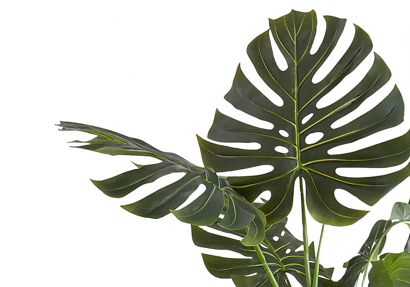 Artificial Plant, 55' Tall, Monstera Tree, Indoor, Faux, Fake, Floor, Greenery, Potted, Real Touch, Decorative, Green Leaves, Black Pot