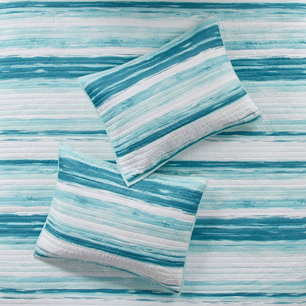 6 Piece Printed Quilt Set with Throw Pillows Aqua Full/Queen Media 12