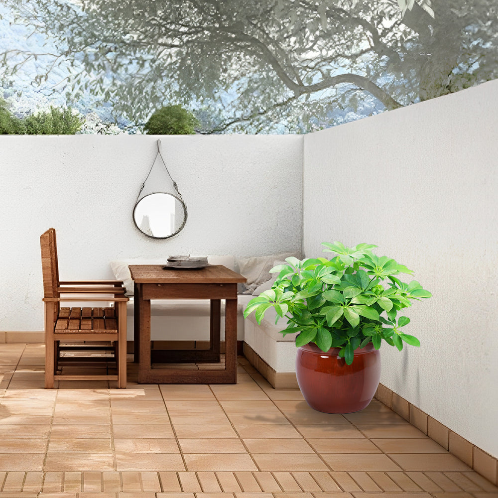 3 Pieces Ceramic Flowerpot, Modern Planter for Patio, Garden or Windowsills - Orange Media 2