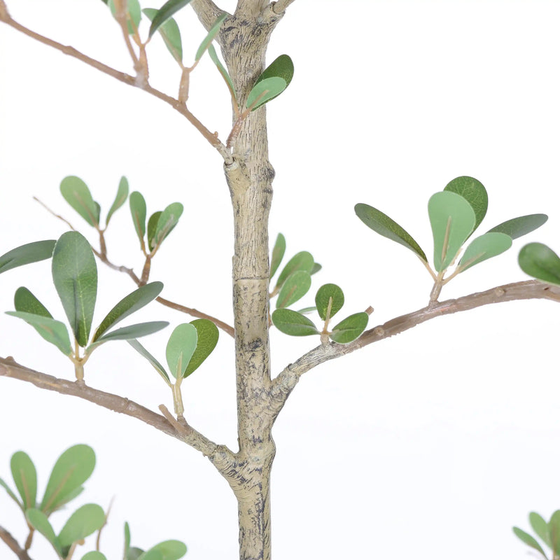 6ft Artificial Olive Tree, Realistic Faux Potted Plant in Black Pot, Indoor & Covered Outdoor Decorative Tree for Living Room and Office, 1pc/set