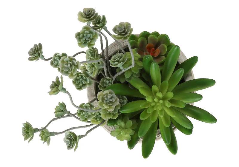 Artificial Plant, Set Of 2, 9' Tall, Succulent, Table, Beige Cement Pots, Contemporary, Modern
