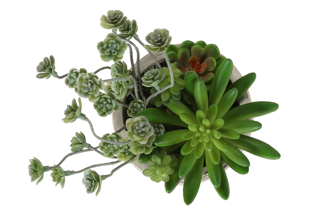 Artificial Plant, Set Of 2, 9' Tall, Succulent, Table, Beige Cement Pots, Contemporary, Modern Media 4