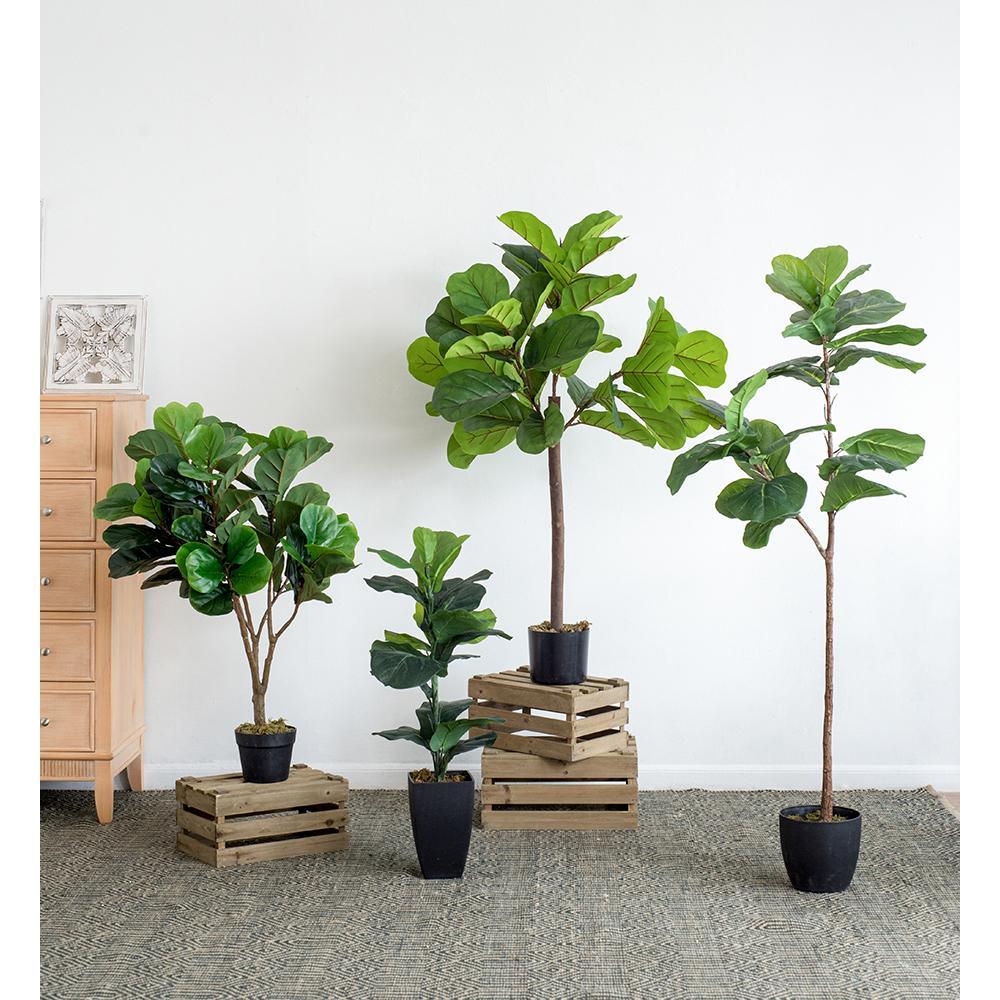 16.5x21x41.5'H Fiddle Fig Leaf Tree, 80 Leaves Media 7