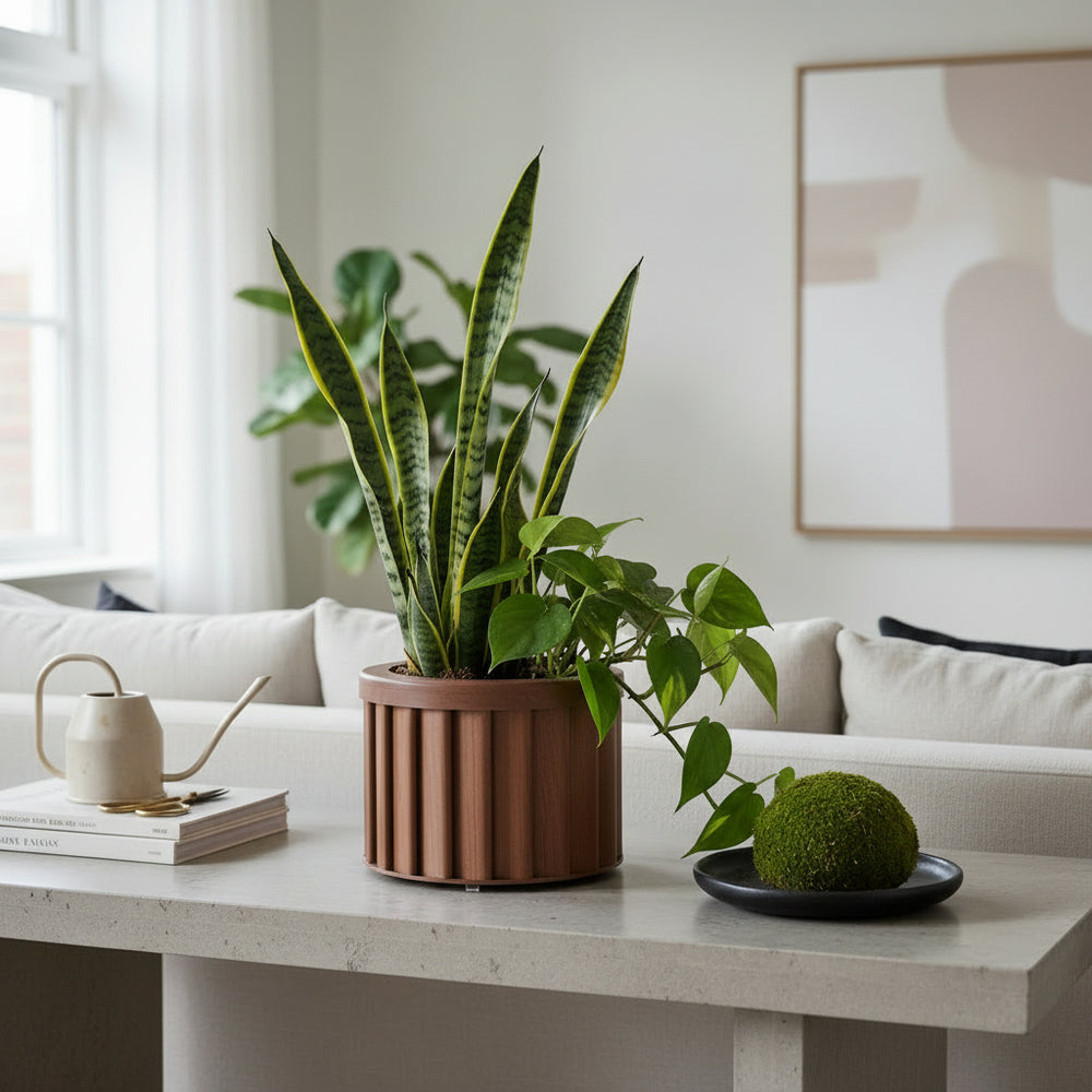 Round Strata Planter MD - Dark Brown Media 2
