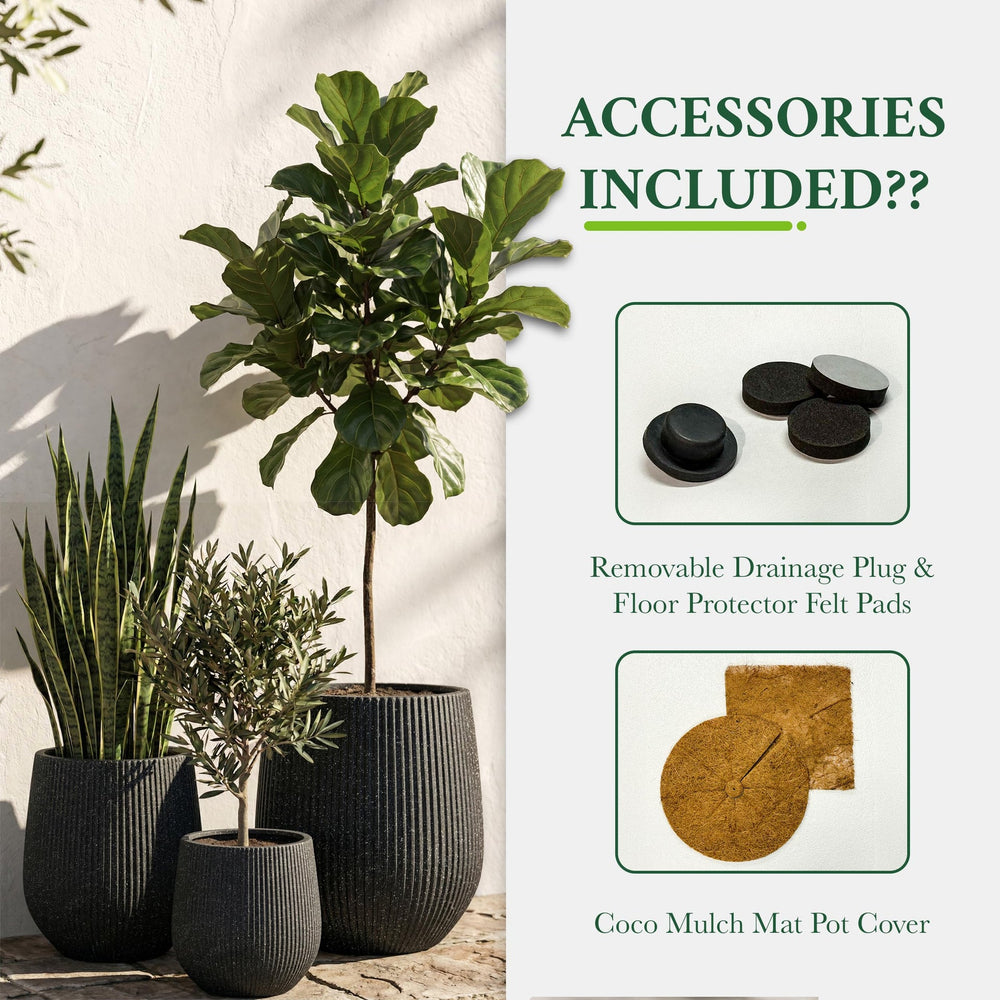 DTY Signature Mount Wilson Modern Indoor Outdoor Fiberstone Tapered Planter, Lightweight, Weather Resistant Garden Pot with Drainage Hole & Rubber Plug (Black, 11'' D x 12'' H) Media 47