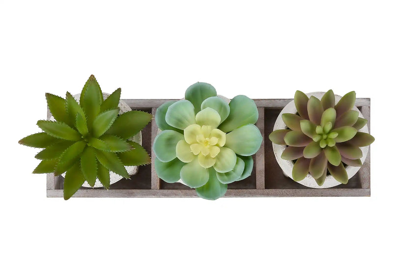 Artificial Plant, Set Of 3, 6' Tall, Succulent, Table, Beige Pots, Contemporary, Modern