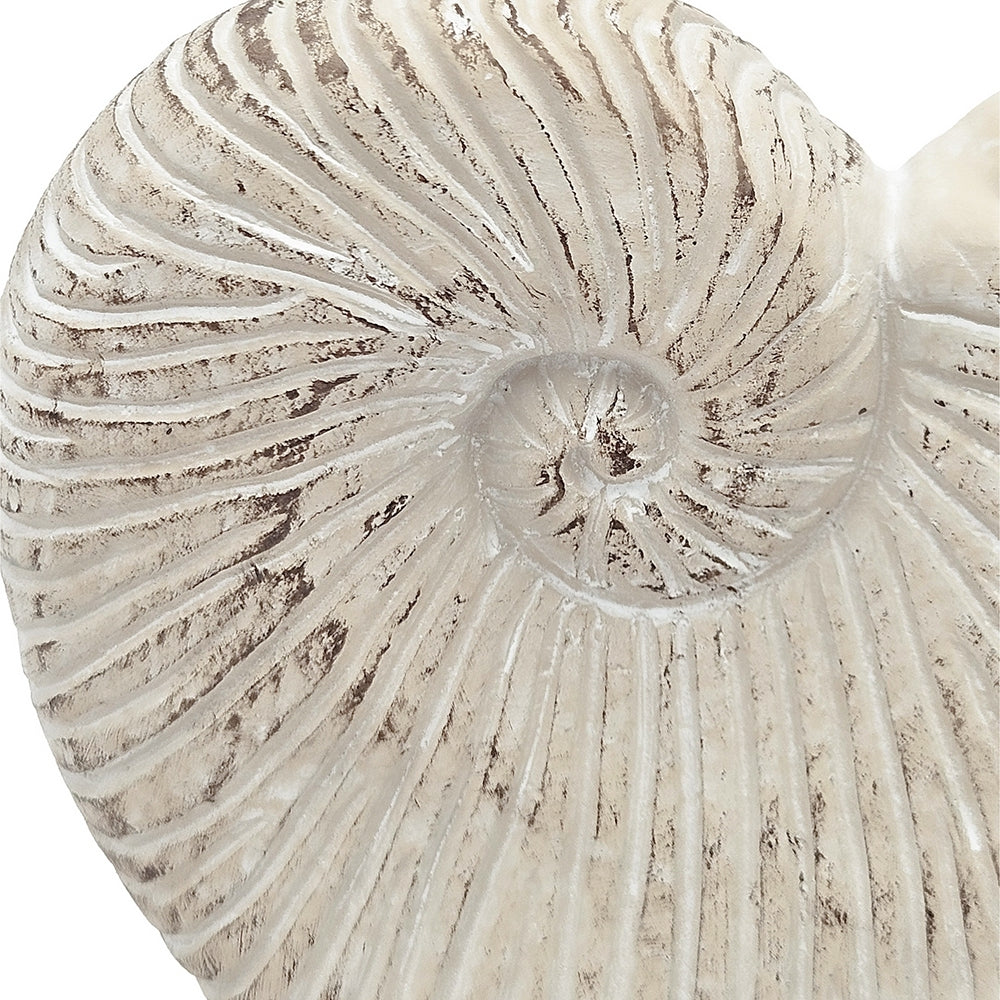 11.5x6.7x7.7' Sand and Cement Nautilus Shell Planter with Textured Beige Finish Media 8