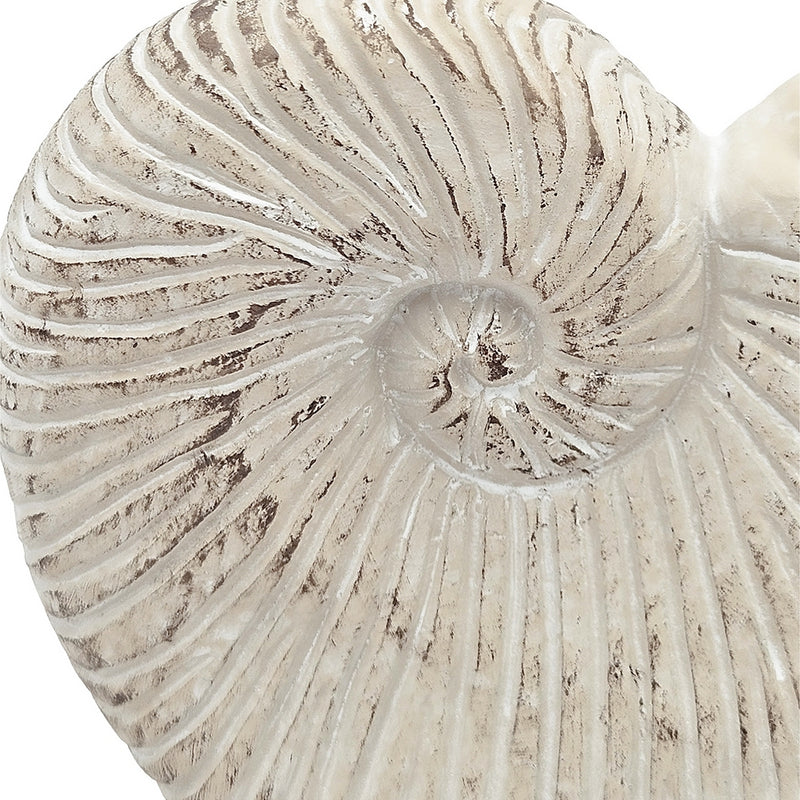 11.5x6.7x7.7' Sand and Cement Nautilus Shell Planter with Textured Beige Finish