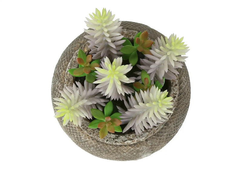 Artificial Plant, Set Of 2, 8' Tall, Succulent, Table, Brown Cement Pots, Contemporary, Modern