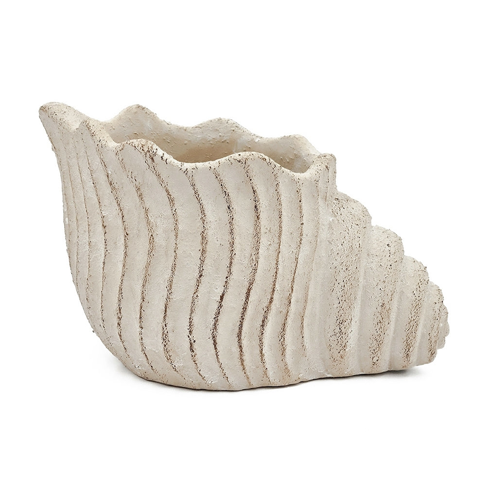 11.5x7x7' Sand and Cement Nautilus Shell Planter with Textured Beige Finish Media 3