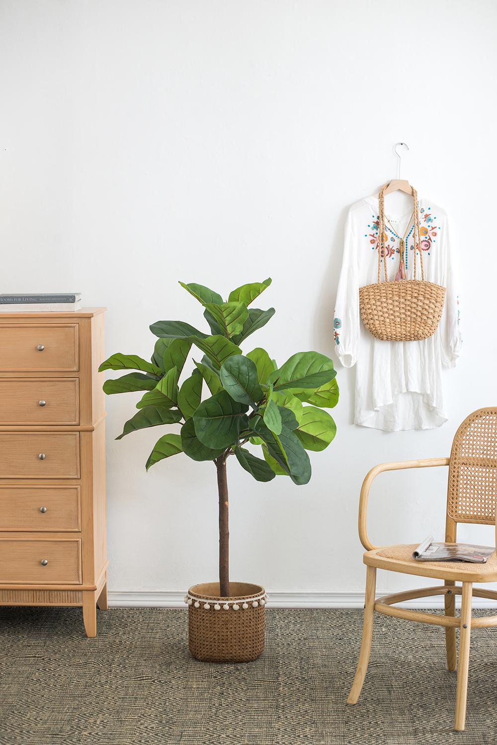 25x25x52'H Fiddle Fig Leaf Tree, 40 Leaves Media 5