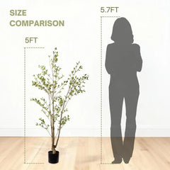 Lifelike Artificial Olive Tree with Black Plastic Pot, Faux Indoor Plant in Green Fabric Leaves, 60-Inch Tall for Home Living Room Decor perspective